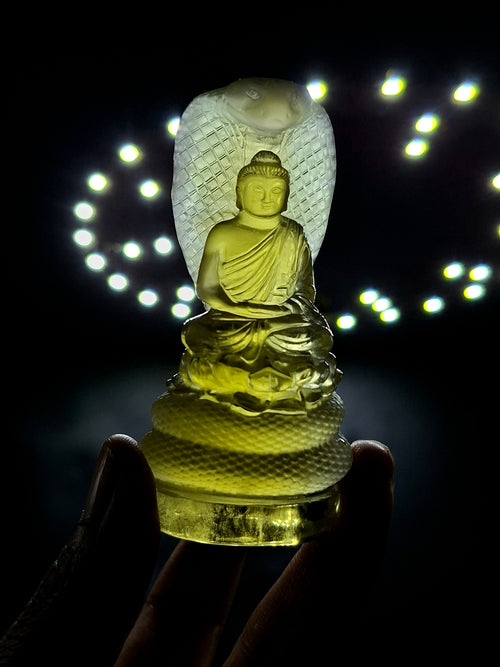 Citrine Lord Buddha Protected by Serpent Carving – A Masterpiece of Protection, Abundance, and Spiritual Strength | Reiki/Chakra/Healing/Energy | Home Decor
