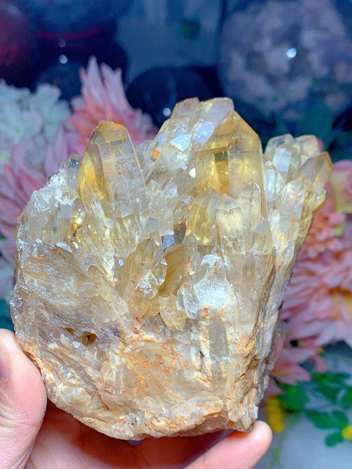 Natural Citrine Cluster: A Radiant Beacon of Positive Energy - 670gms with Points