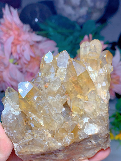 Natural Citrine Cluster: A Radiant Beacon of Positive Energy - 670gms with Points