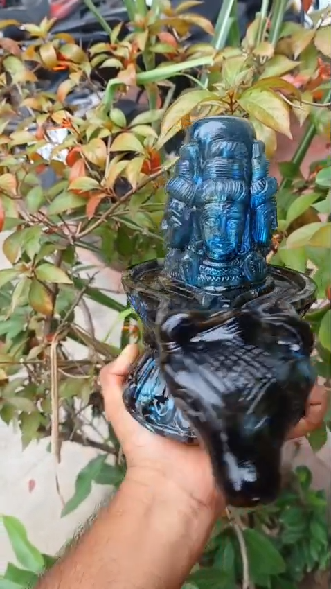 Magnificent Flashy Labradorite Five-Faced Panchamukhi Shivling with Nandi Cow