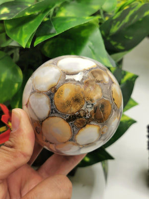 Natural Leopard Jasper Stone sphere / ball - Energy / Reiki / Crystal Healing - 3 inches (7.5 cms) diameter and 610 gms (1.34 lb) - Shwasam