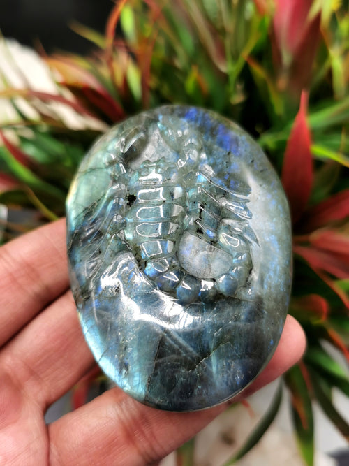 Natural Labradorite Stone free form/slab with carving of Scorpion - 2 inches (5 cms) height and 185 gms (0.41 lb) - Shwasam