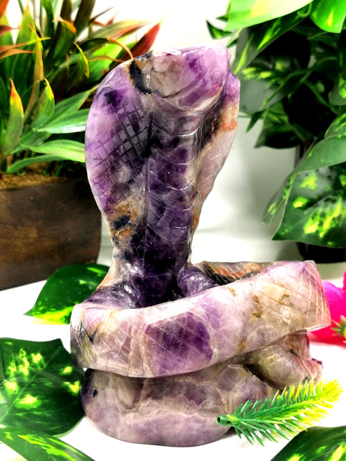 Magnificent Cobra Snake carved in Amethyst stone - animal carving