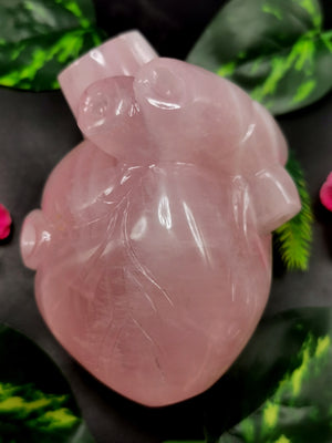 Natural Rose Quartz Anatomical Heart carving - Human Heart/Crystal Heart - reiki/chakra/healing/energy - 0.9 kgs and 5 inches