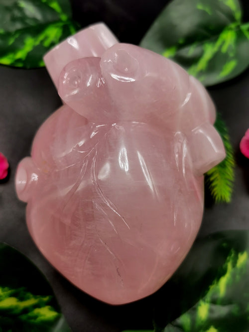 Natural Rose Quartz Anatomical Heart carving - Human Heart/Crystal Heart - reiki/chakra/healing/energy - 0.9 kgs and 5 inches