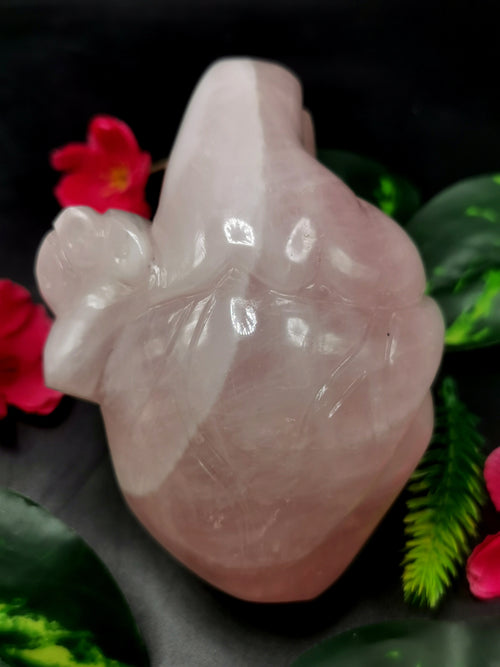 Natural Rose Quartz Anatomical Heart carving - Human Heart/Crystal Heart - reiki/chakra/healing/energy - 0.9 kgs and 5 inches