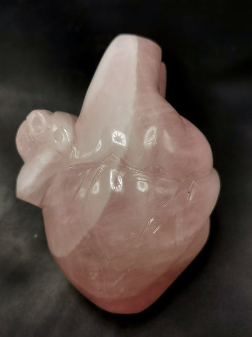 Natural Rose Quartz Anatomical Heart carving - Human Heart/Crystal Heart - reiki/chakra/healing/energy - 0.9 kgs and 5 inches