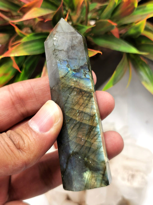 Amazing Natural Labradorite Point/Wand/Tower with blue flash - Shwasam