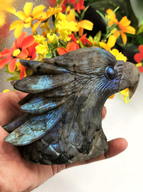 Labradorite Animal Carving - Bald Eagle Head carved in black rainbow stone - Home Decor - Shwasam