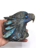 Labradorite Animal Carving - Bald Eagle Head carved in black rainbow stone - Home Decor - Shwasam