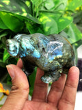 Labradorite Bear Carving - Resplendent hand carved in black rainbow stone - Shwasam