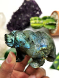 Labradorite Bear Carving - Resplendent hand carved in black rainbow stone - Shwasam