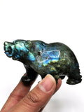 Labradorite Bear Carving - Resplendent hand carved in black rainbow stone - Shwasam