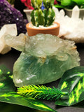 Natural Green Fluorite crocodile carving, handmade used as spirit animal in crystal healing - Shwasam