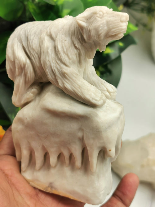 Exquisite polar bear on melting glacier carving in Chinese white jade crystal stone - Shwasam