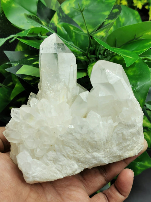 Clear Quartz or Spathik Cluster - Natural specimen of clear quartz used in Energy / Reiki / Crystal Healing - Shwasam