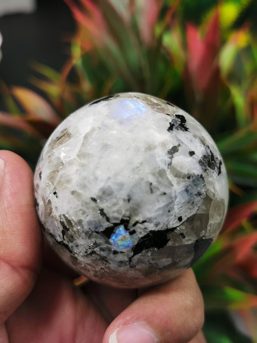 Rainbow Moonstone Sphere - Crystal Healing - Shwasam