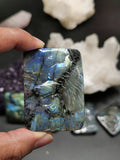 Labradorite slab carving of Wolf head - Meticulouly handcarved - Lapidary Art - Shwasam