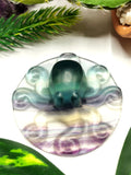 Rainbow Fluorite Stone carving of a beautiful Octopus - Handcarved lapidary art - Shwasam