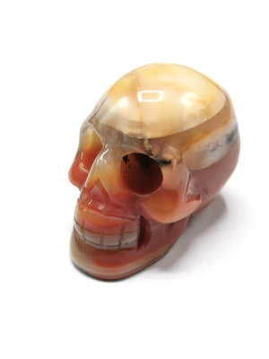 Agate Skull hand carved used in spirit healing - Agate stone carvings - Shwasam