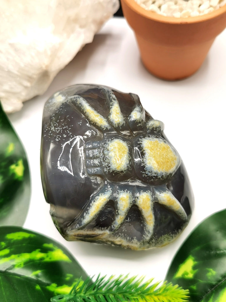 Agate Geode with spider carving- Crystal Healing - Hand carved from si