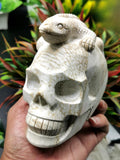Coral Jasper Skull with lizard on top carving -Incredible craftsmanship - Lapidary Art - Shwasam