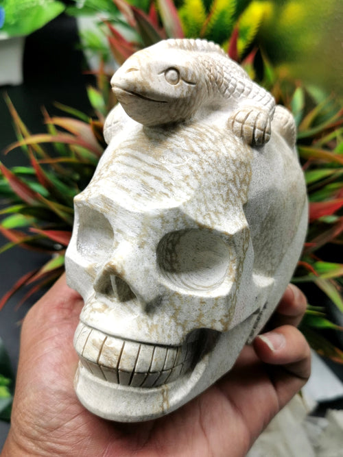 Coral Jasper Skull with lizard on top carving -Incredible craftsmanship - Lapidary Art - Shwasam