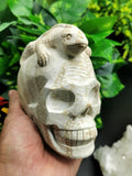 Coral Jasper Skull with lizard on top carving -Incredible craftsmanship - Lapidary Art - Shwasam