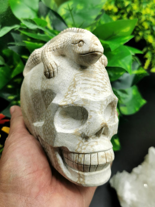 Coral Jasper Skull with lizard on top carving -Incredible craftsmanship - Lapidary Art - Shwasam