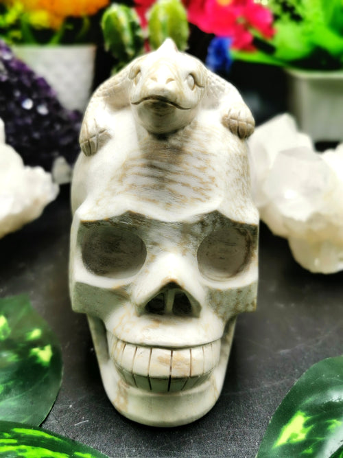Coral Jasper Skull with lizard on top carving -Incredible craftsmanship - Lapidary Art - Shwasam