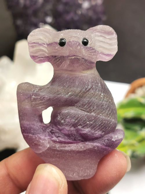 Purple Fluorite Stone carving of a beautiful Koala - Brilliantly handcarved - Shwasam