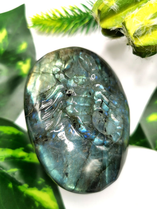 Natural Labradorite Stone free form/slab with carving of Scorpion - 2 inches (5 cms) height and 185 gms (0.41 lb) - Shwasam