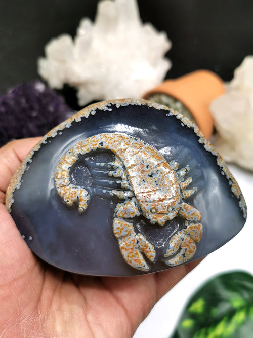 Natural Agate Stone geode with carving of Scorpion - crystal/reiki/chakra/healing - Shwasam