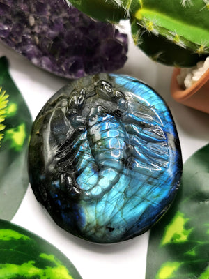 Natural Labradorite Stone free form/slab with carving of Scorpion - 2 inches (5 cms) height and 105 gms (0.23 lb) - Shwasam