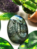 Natural Labradorite Stone free form/slab with carving of Scorpion - 2 inches (5 cms) height and 105 gms (0.23 lb) - Shwasam