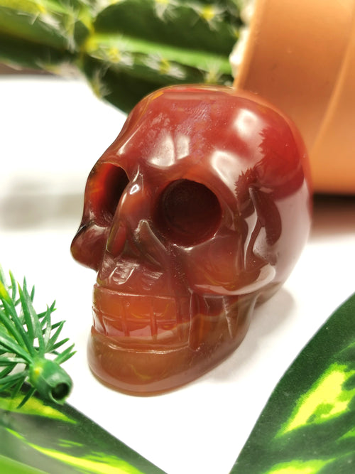 Skull in natural red agate stone - reiki/chakra/healing - crystal crafts - weight 90 gm (0.20 lb) and 1.5 inches - Shwasam