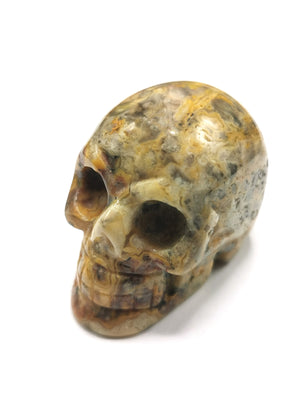 Crazy lace agate stone skull - reiki/chakra/healing - crystal crafts - Shwasam