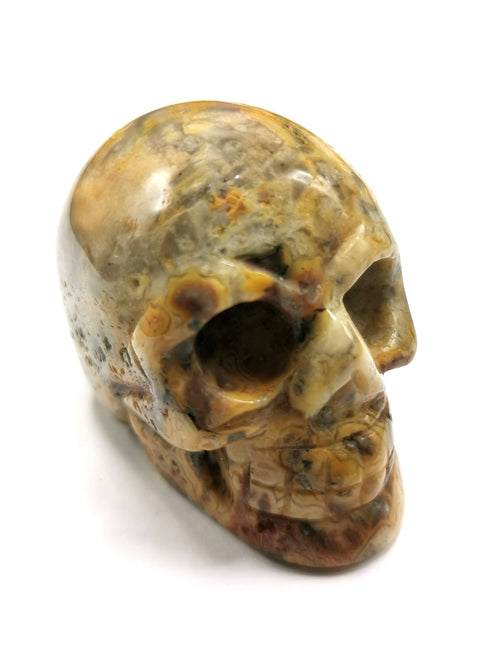 Crazy lace agate stone skull - reiki/chakra/healing - crystal crafts - Shwasam