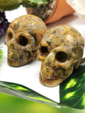 Crazy lace agate stone skull - reiki/chakra/healing - crystal crafts - Shwasam