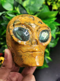 Crazy Lace Agate alien head with labradorite eyes - crystal healing - Shwasam
