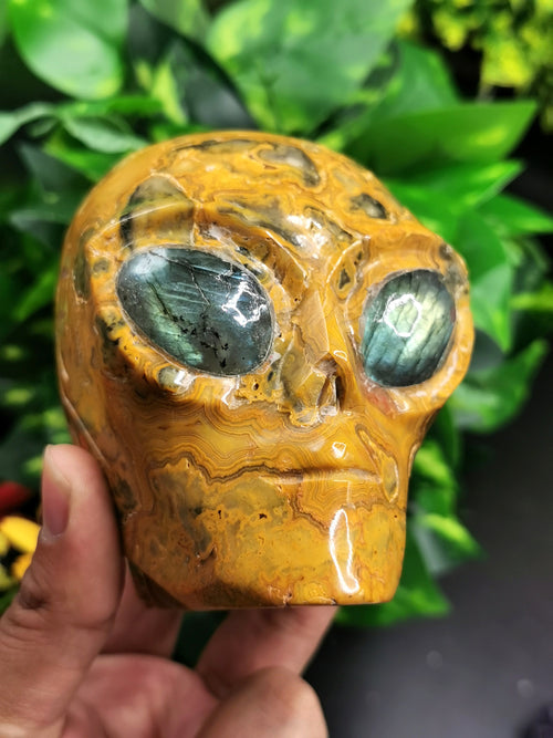Crazy Lace Agate alien head with labradorite eyes - crystal healing - Shwasam