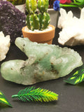 Green Fluorite Lizard beautiful hand carved natural fluorite stone - Home Decor crystal - Shwasam