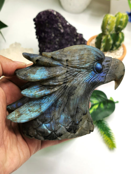 Labradorite Animal Carving - Bald Eagle Head carved in black rainbow stone - Home Decor - Shwasam