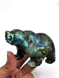 Labradorite Bear Carving - Resplendent hand carved in black rainbow stone - Shwasam