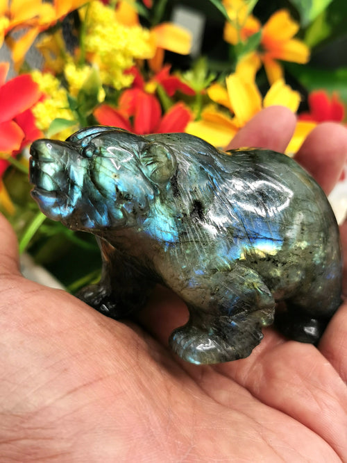 Labradorite Bear Carving - Resplendent hand carved in black rainbow stone - Shwasam