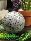 Dalmatian Jasper Sphere / ball - Crystal Healing - Shwasam