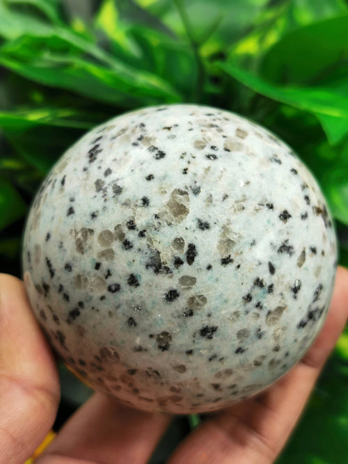 Dalmatian Jasper Sphere / ball - Crystal Healing - Shwasam