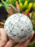 Dalmatian Jasper Sphere / ball - Crystal Healing - Shwasam