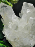 Clear Quartz or Spathik Cluster - Natural specimen of clear quartz used in Energy / Reiki / Crystal Healing - Shwasam