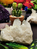 Clear Quartz or Spathik Cluster - Natural specimen of clear quartz used in Energy / Reiki / Crystal Healing - Shwasam